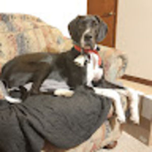 Meet your Posher, Steph